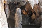 Mladec's Caves