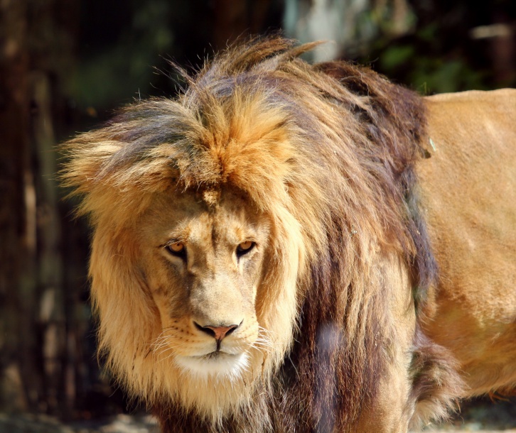 Olomouc ZOO